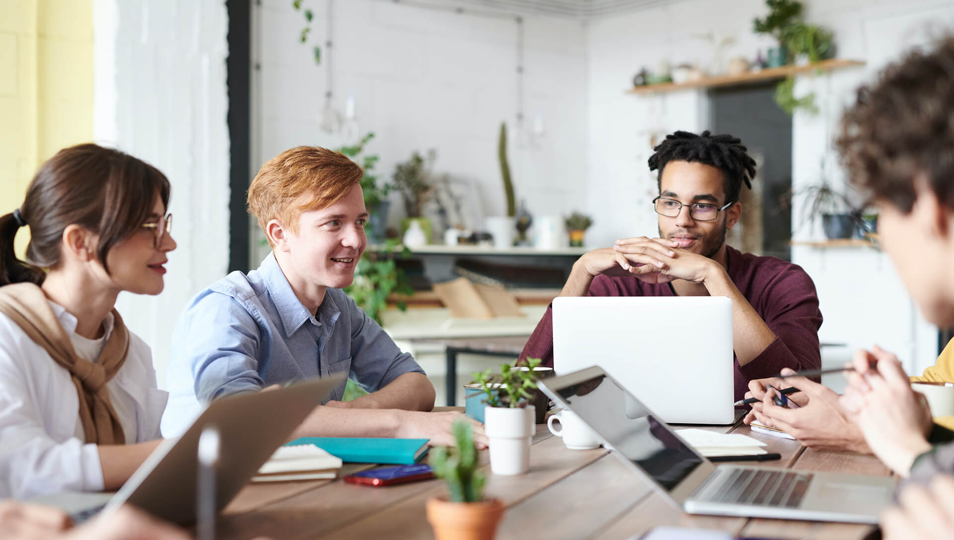 Custom Web & App Development